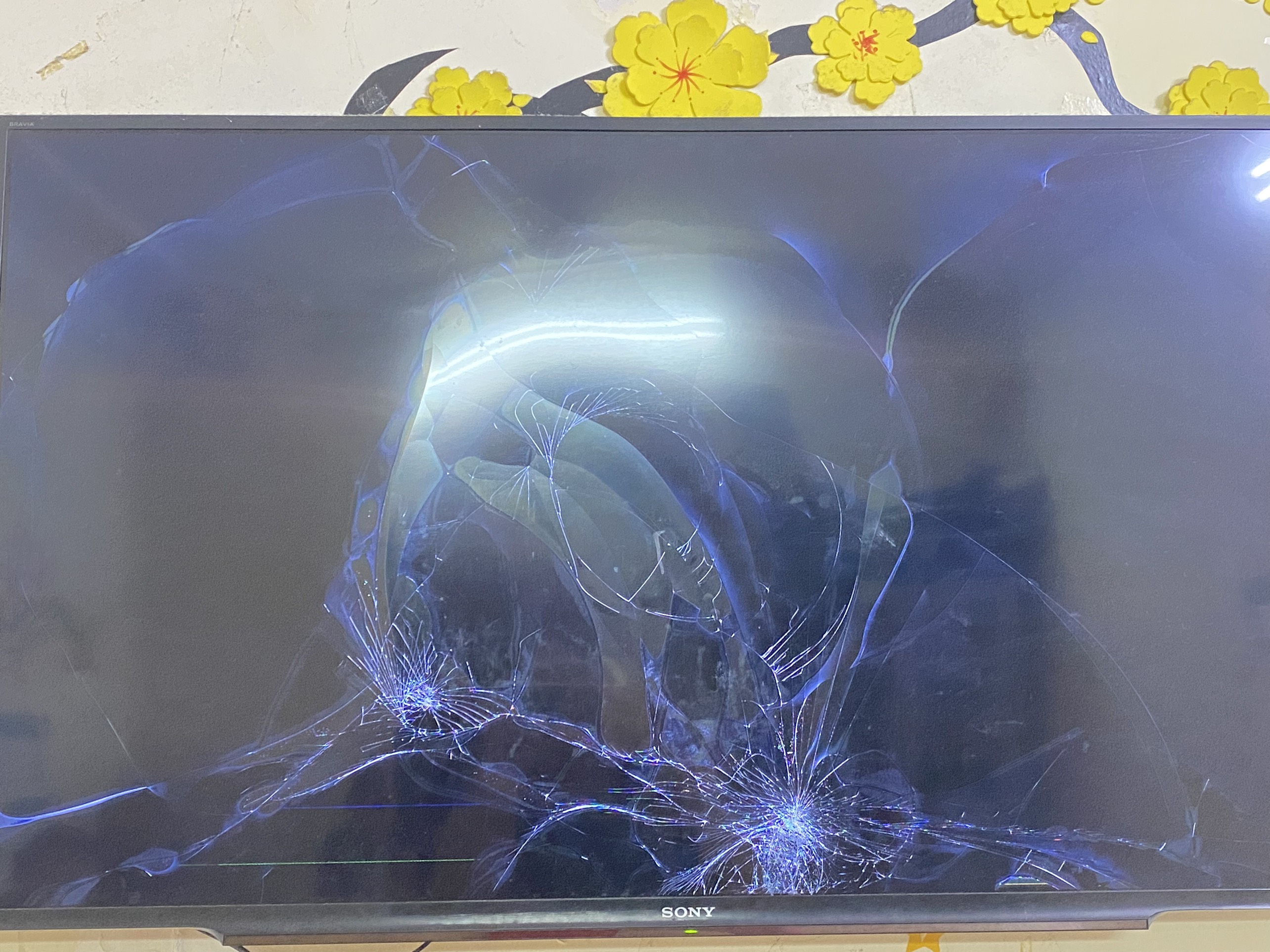 Bảng Giá Thay Màn Hình Tivi LG 43 Inch 4K Chính Hãng Bảng Giá Thay Màn Hình Tivi LG 43 Inch 4K Chính Hãng
