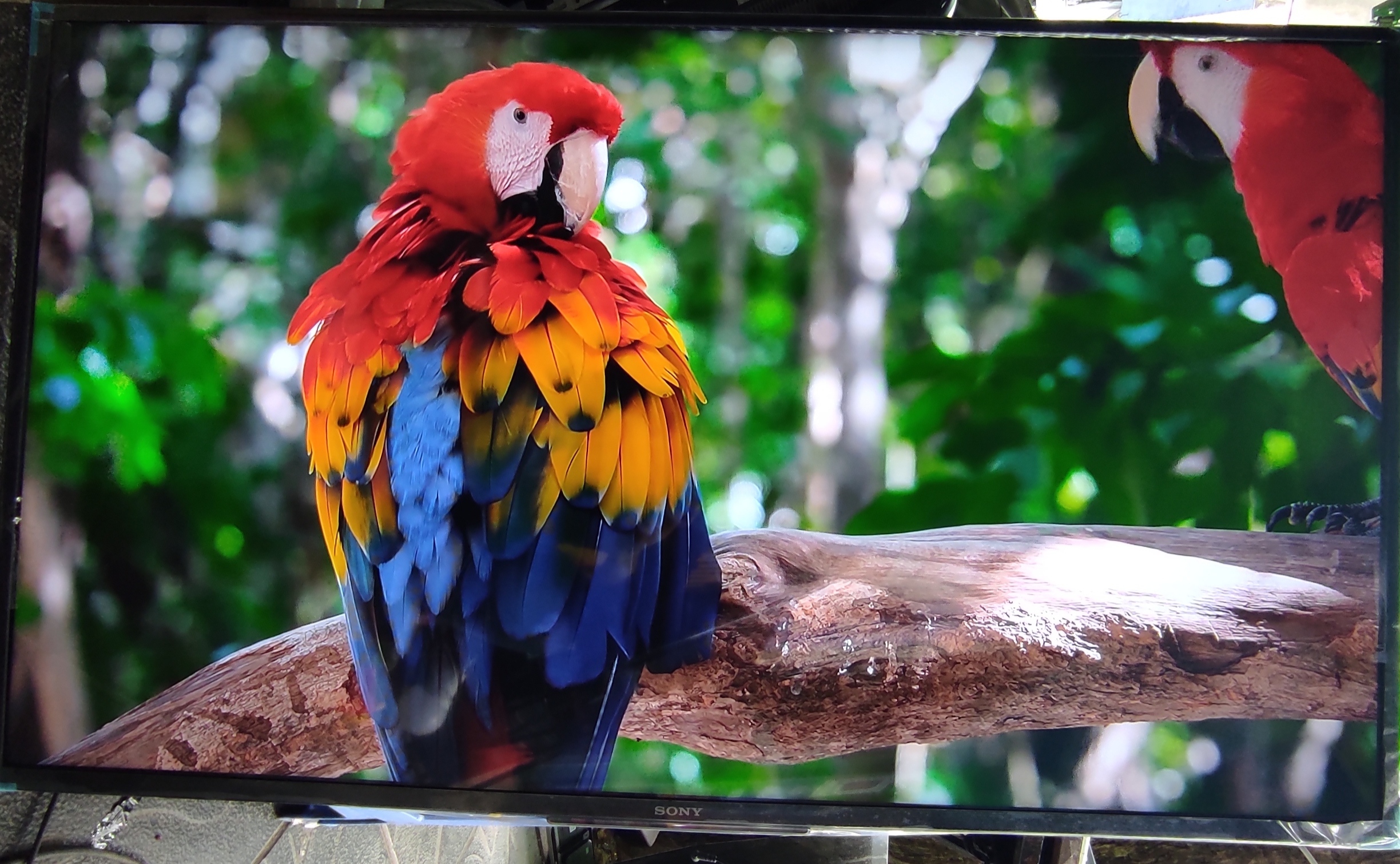 Sửa Tivi LG Tại Nhà Đông Anh