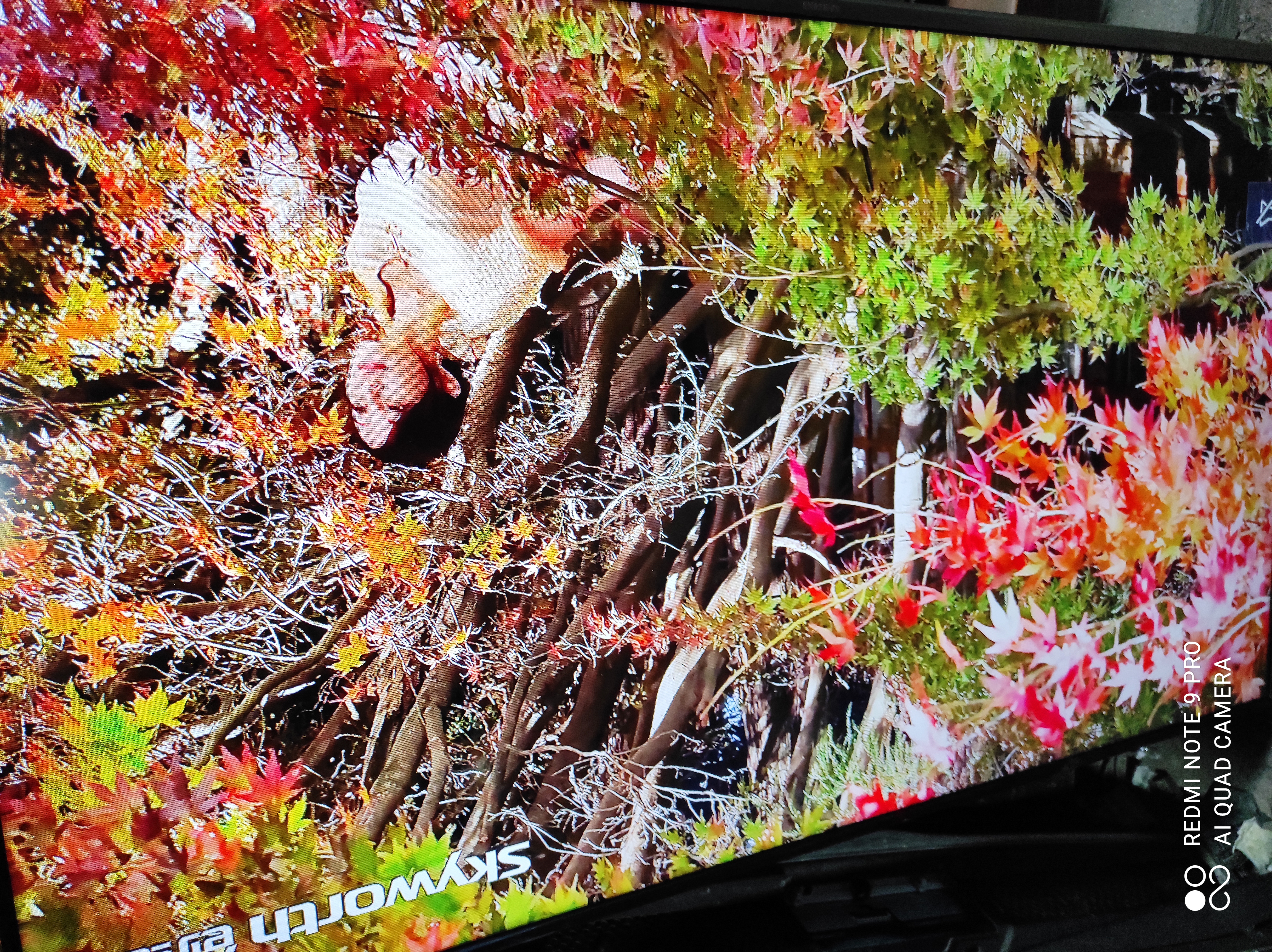 Sửa Tivi Tại Phường Vĩnh Tuy Hà Nội