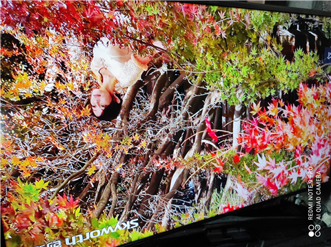 Sửa Tivi Tại Phường Vĩnh Tuy Hà Nội