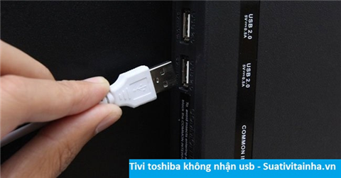 Tivi toshiba không nhận USB
